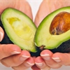 Get the Scoop on Avocado’s Health Perks