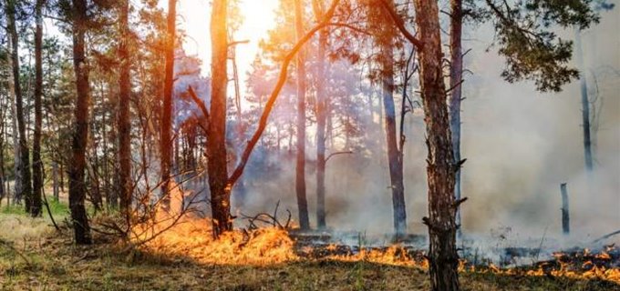Tips for Staying Healthy During Wildfire Season