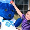 Get to Know Blue Bear