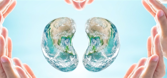 Protege al mundo de la enfermedad crónica renal