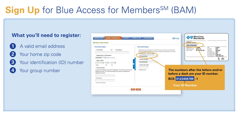 Blue Access for Members how to register