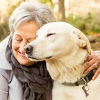 https://connect.bcbstx.com/cfs-file/__key/communityserver-blogs-components-weblogfiles/00-00-00-00-15/0363.AdobeStock_5F00_93675518.jpeg.jpg